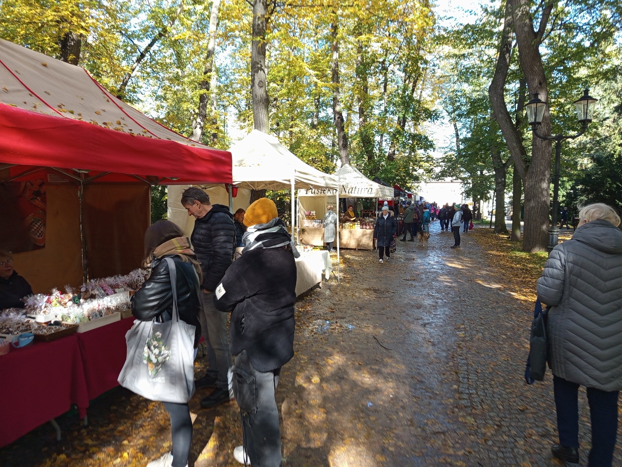 cieplicki-jarmark-pszczelarski-128212