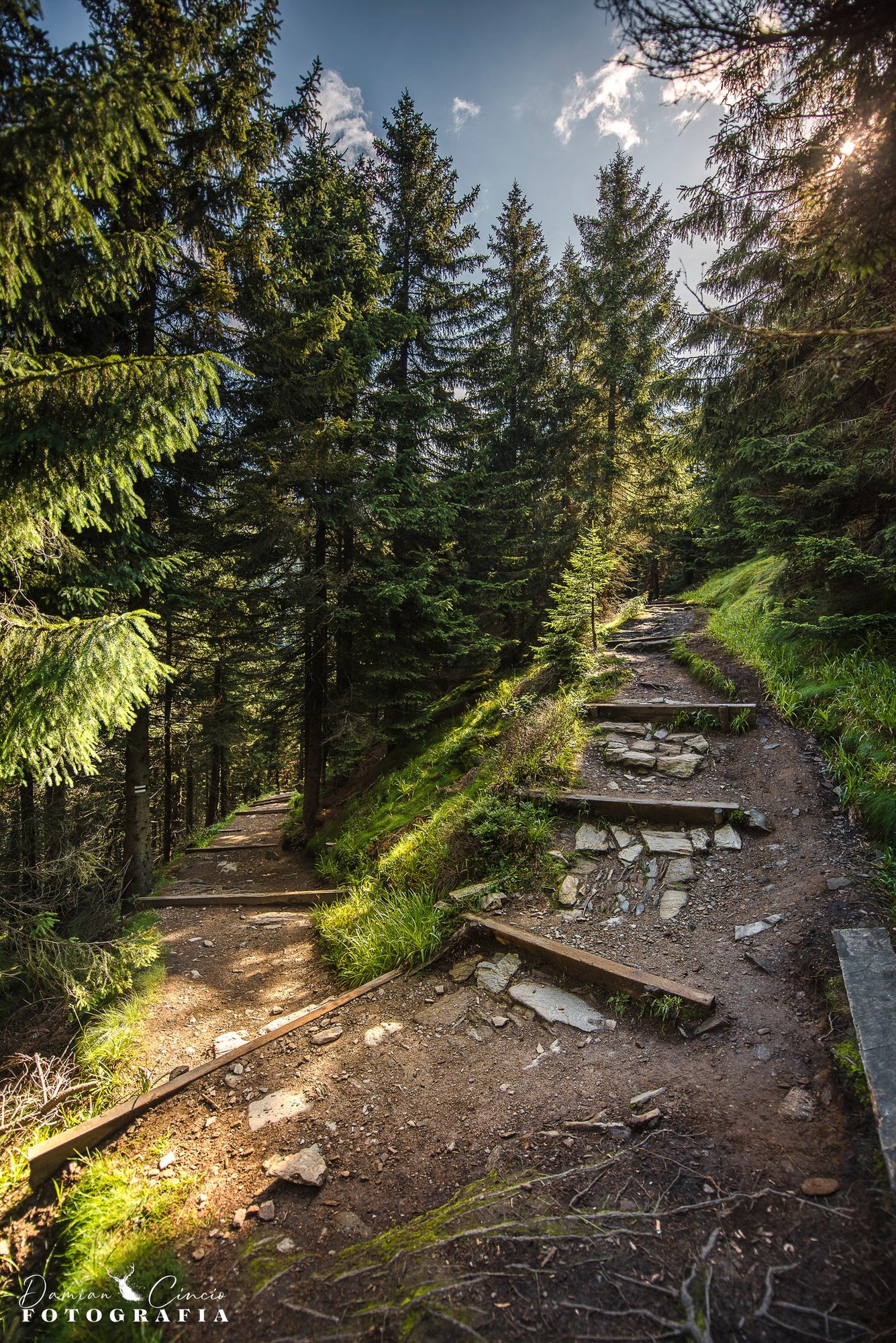 sowia-dolina-w-karkonoszach-128245