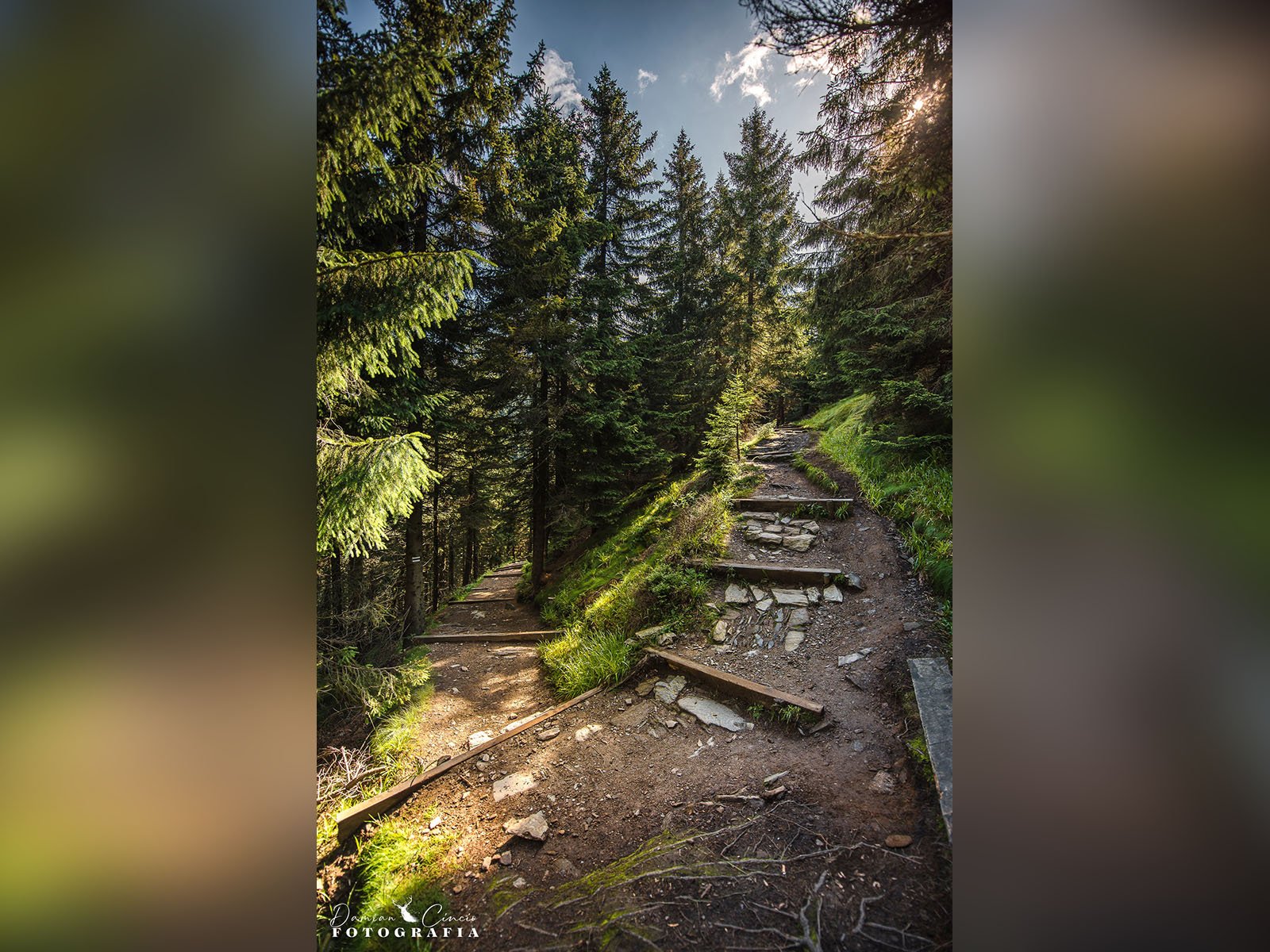 sowia-dolina-w-karkonoszach-128245