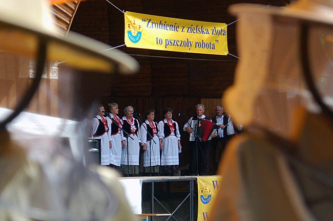 miod-sodycza-na-zdrowie-1283