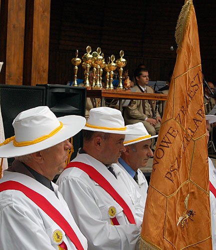 miod-sodycza-na-zdrowie-1283