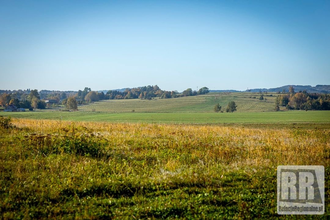 czeska-autostrada-poaczy-sie-z-s3-128328