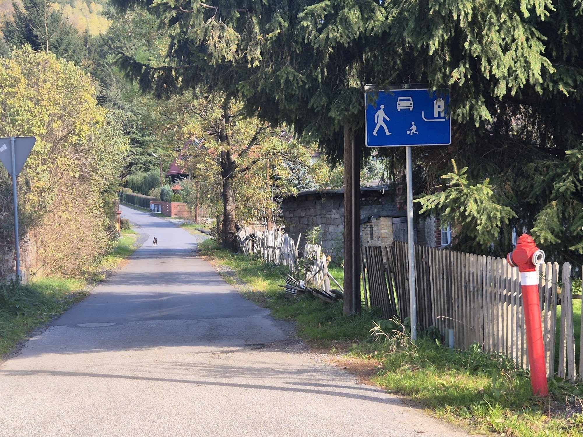 strefa-zamieszkania-w-gorzyncu-128363