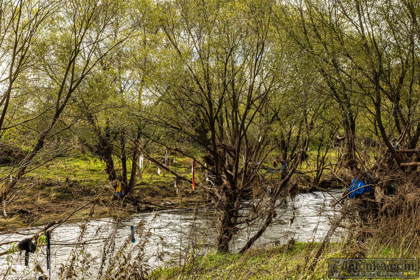 jeleniogorska-promenada-bobru-128426