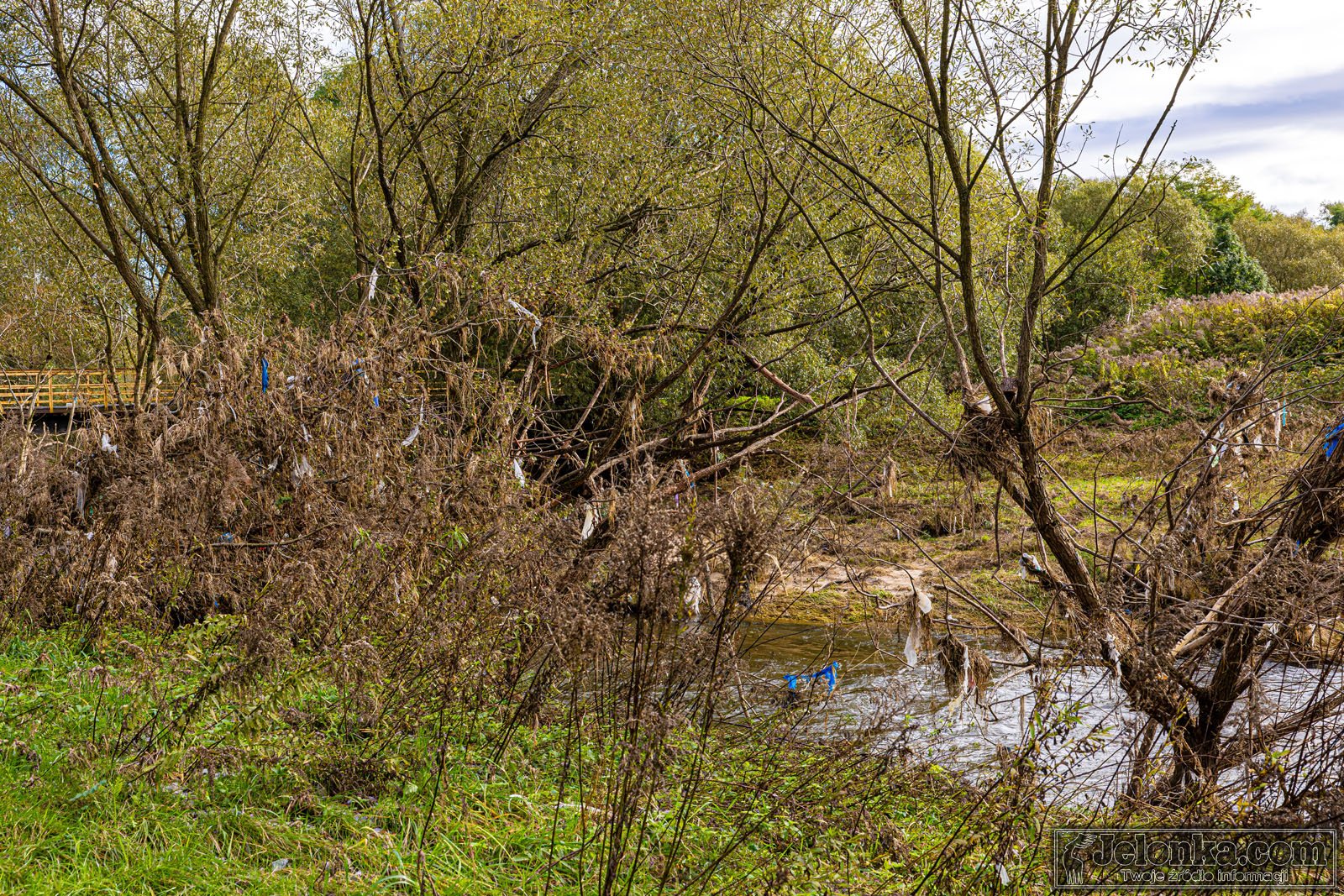 jeleniogorska-promenada-bobru-128426