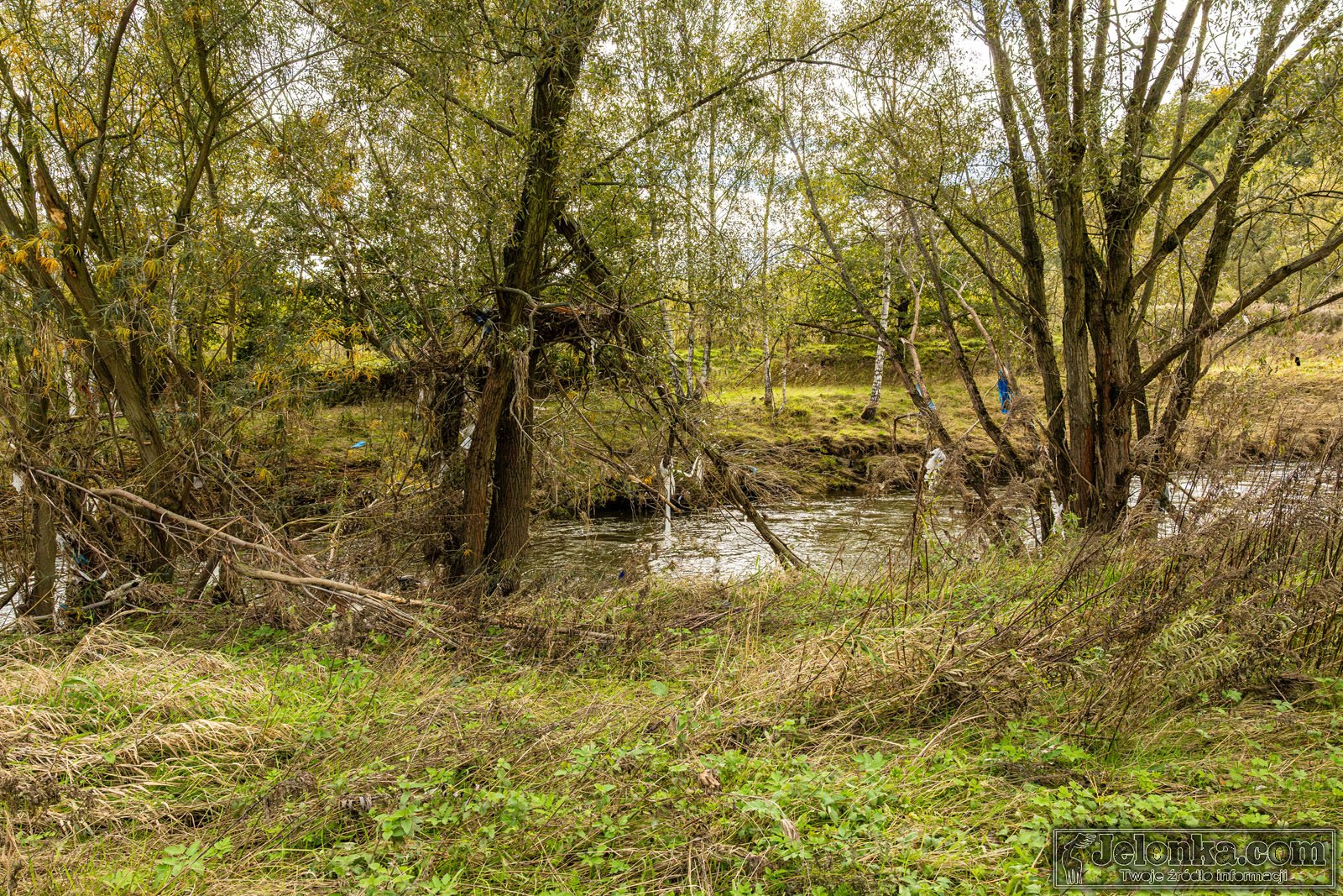 jeleniogorska-promenada-bobru-128426