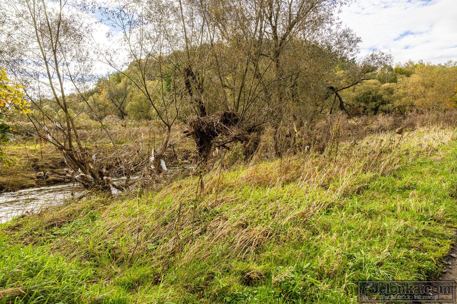 jeleniogorska-promenada-bobru-128426