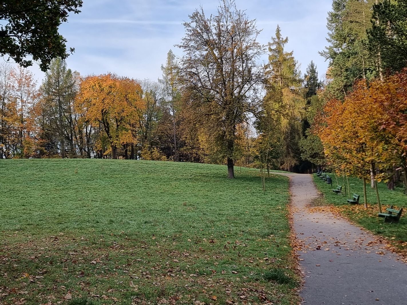 park-na-wzgorzu-kosciuszki-wypieknieje-128480