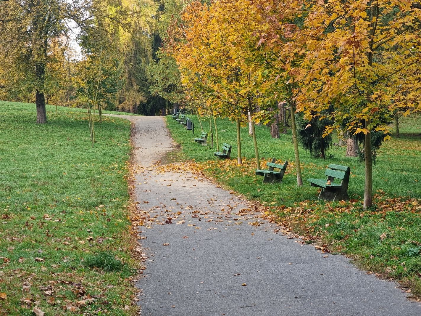 park-na-wzgorzu-kosciuszki-wypieknieje-128480