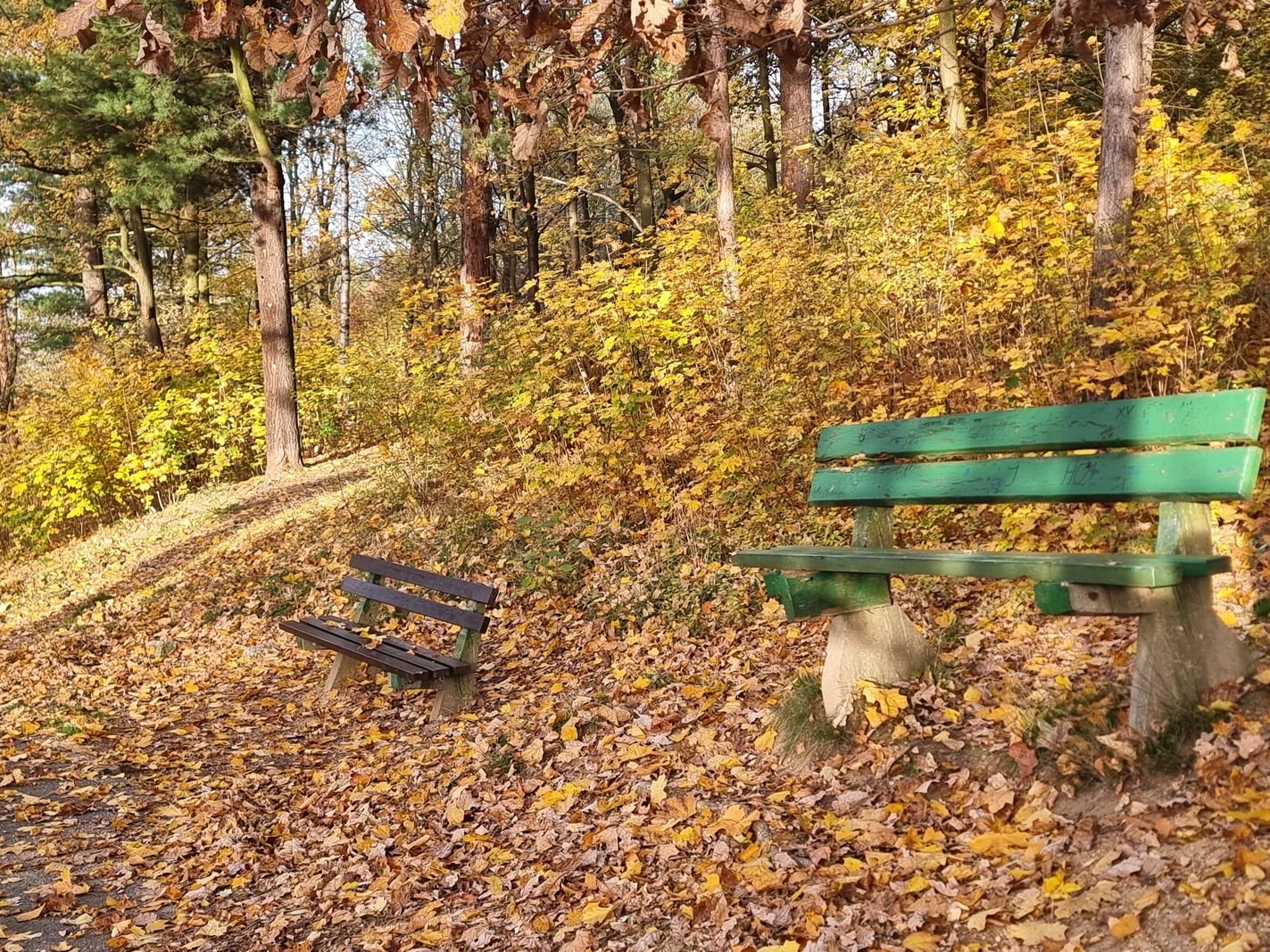 park-na-wzgorzu-kosciuszki-wypieknieje-128480