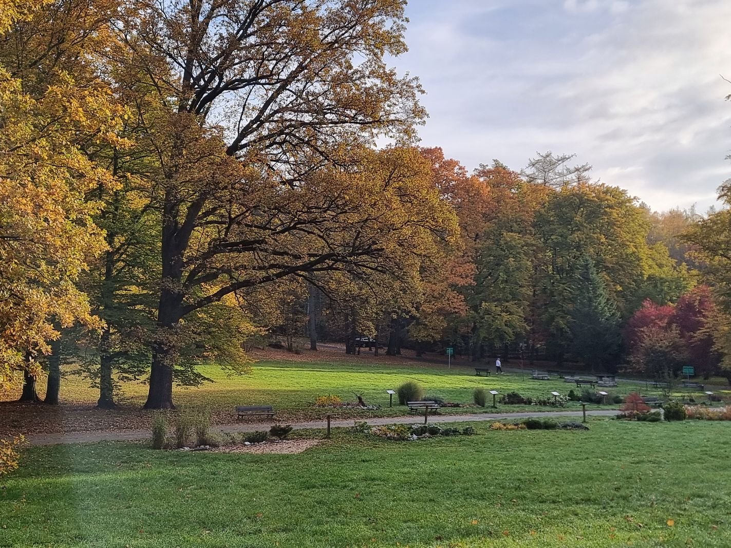 park-na-wzgorzu-kosciuszki-wypieknieje-128480