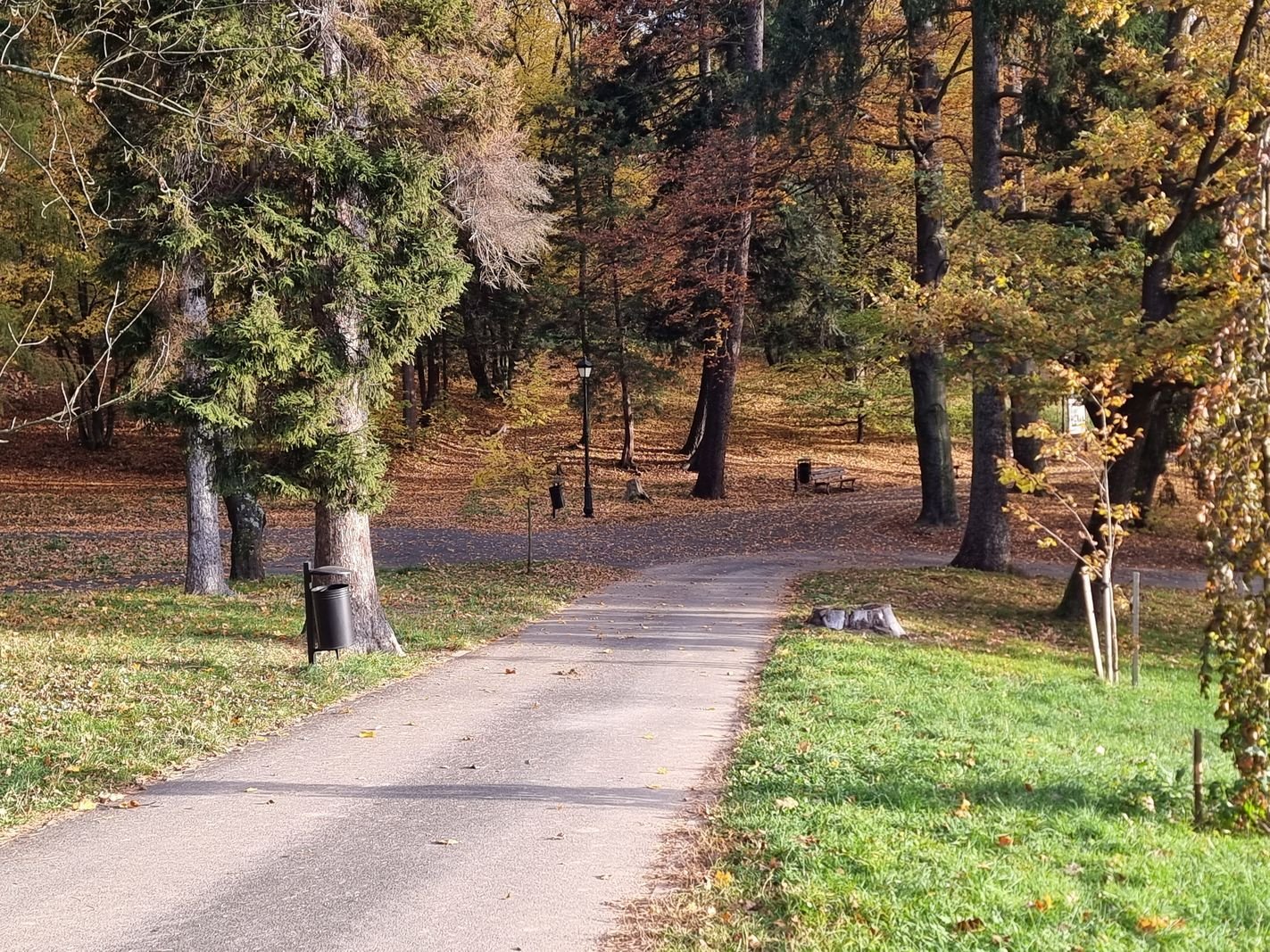 park-na-wzgorzu-kosciuszki-wypieknieje-128480