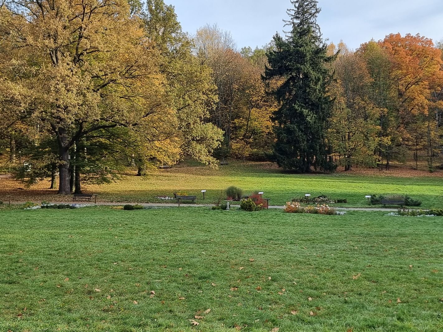 park-na-wzgorzu-kosciuszki-wypieknieje-128480