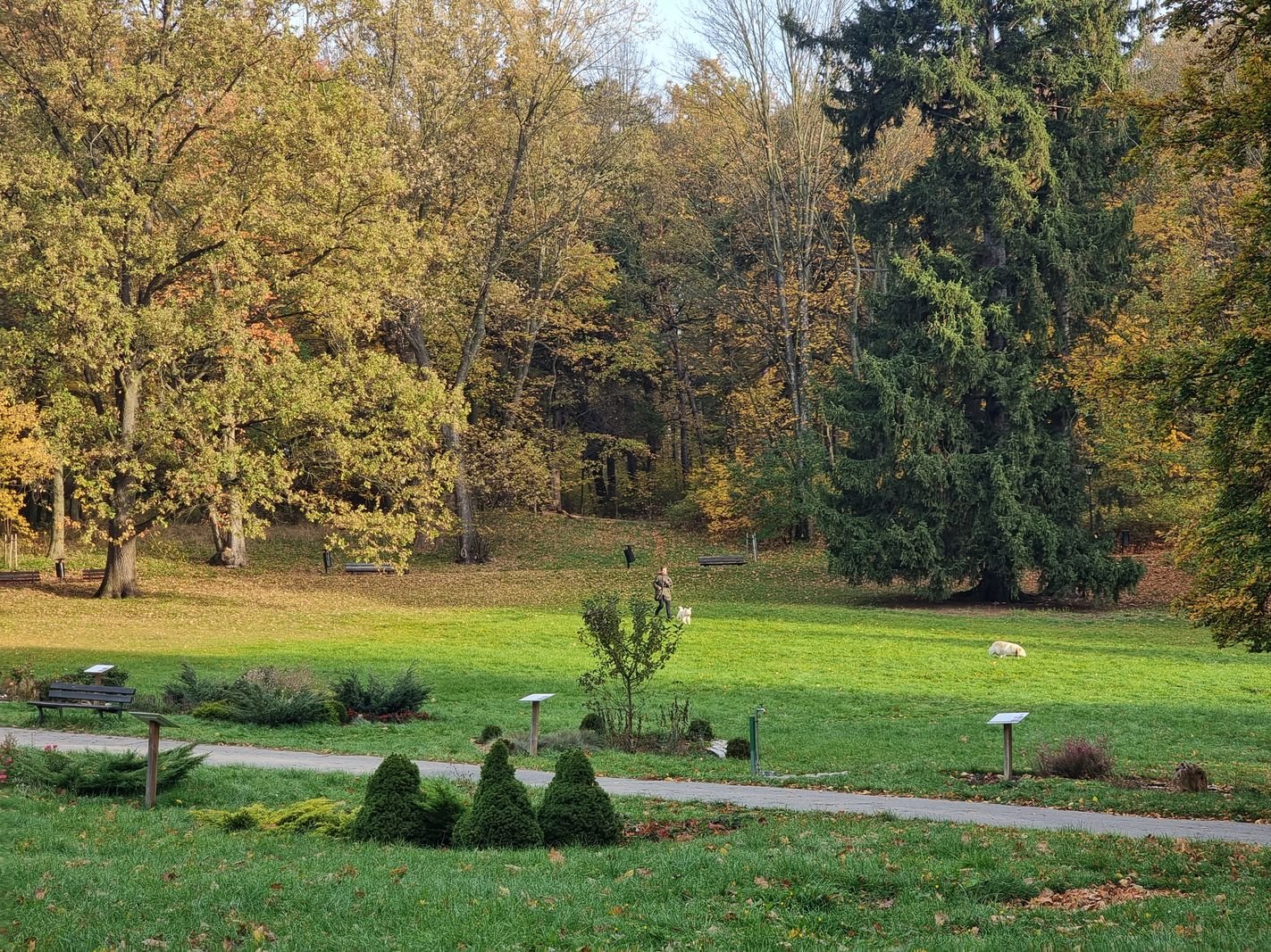 park-na-wzgorzu-kosciuszki-wypieknieje-128480