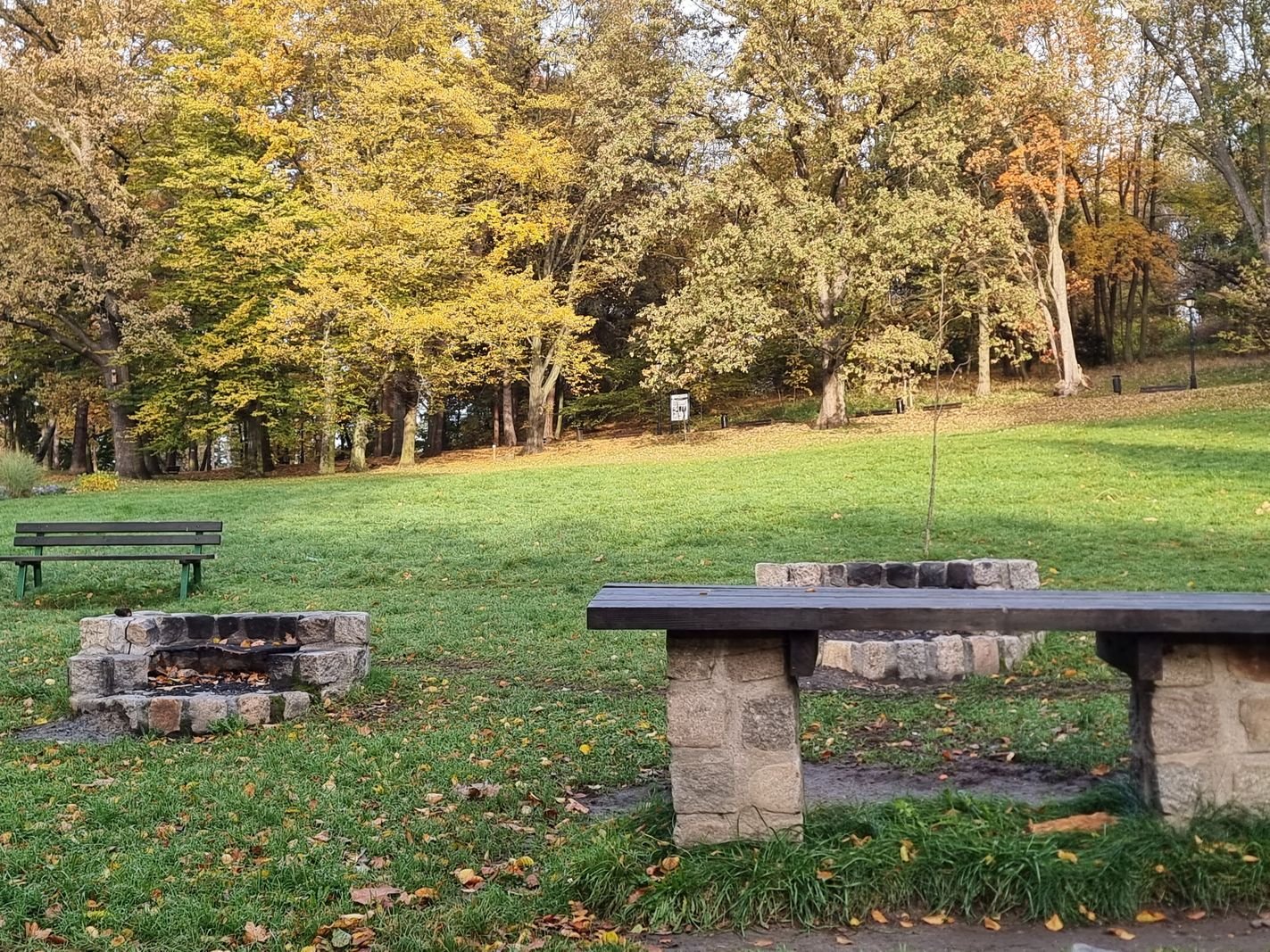 park-na-wzgorzu-kosciuszki-wypieknieje-128480
