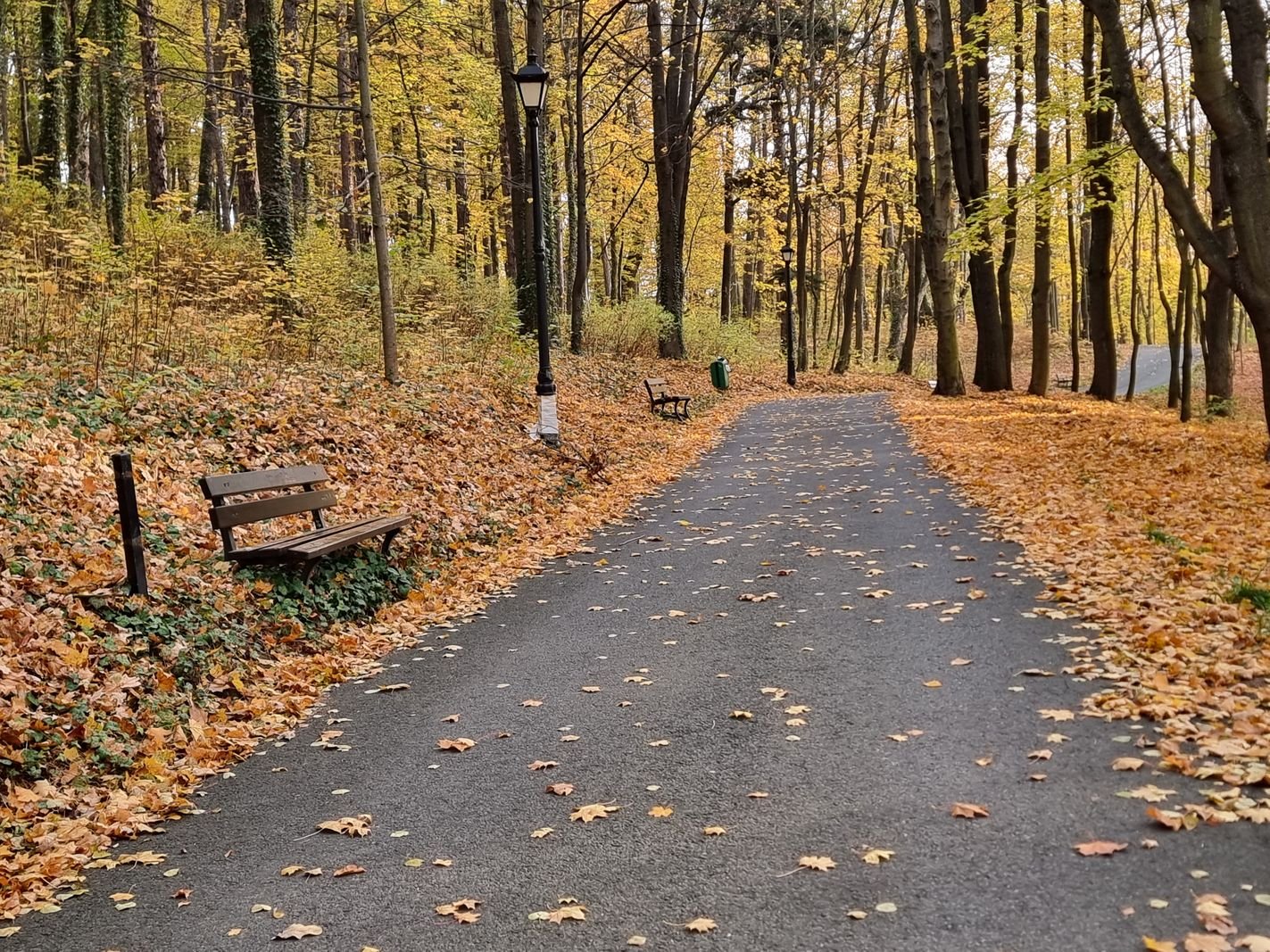 park-na-wzgorzu-kosciuszki-wypieknieje-128480