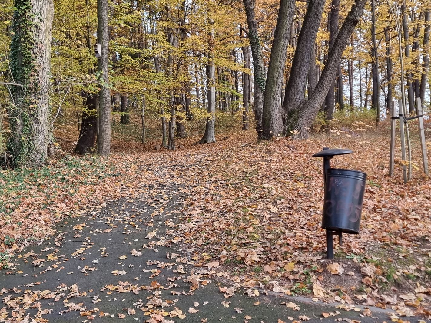 park-na-wzgorzu-kosciuszki-wypieknieje-128480