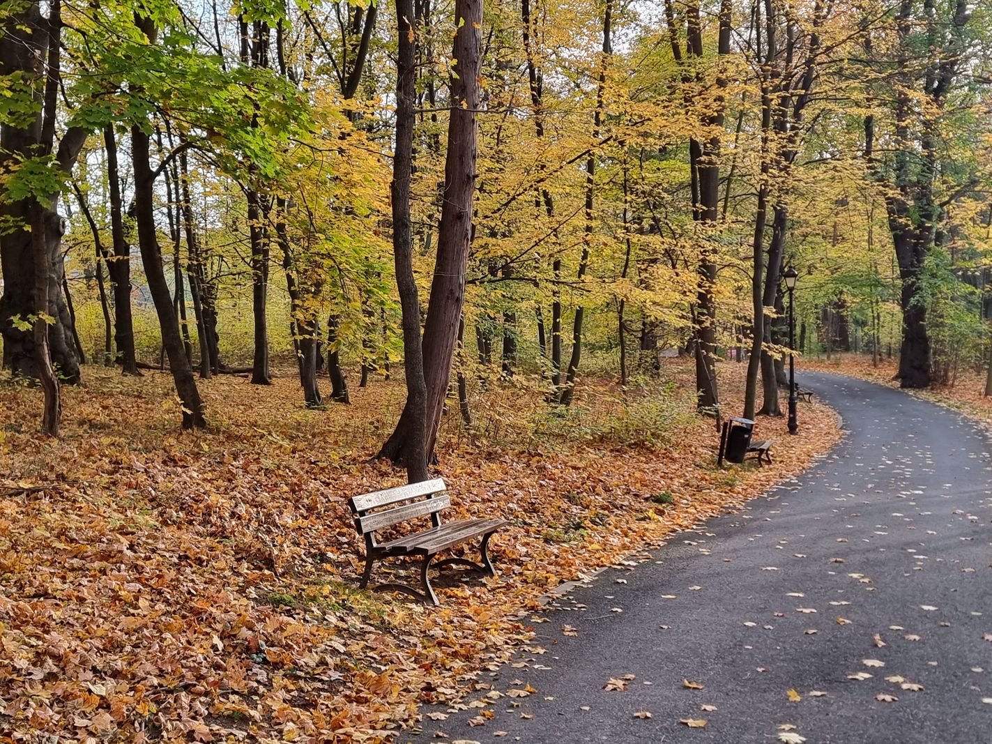 park-na-wzgorzu-kosciuszki-wypieknieje-128480
