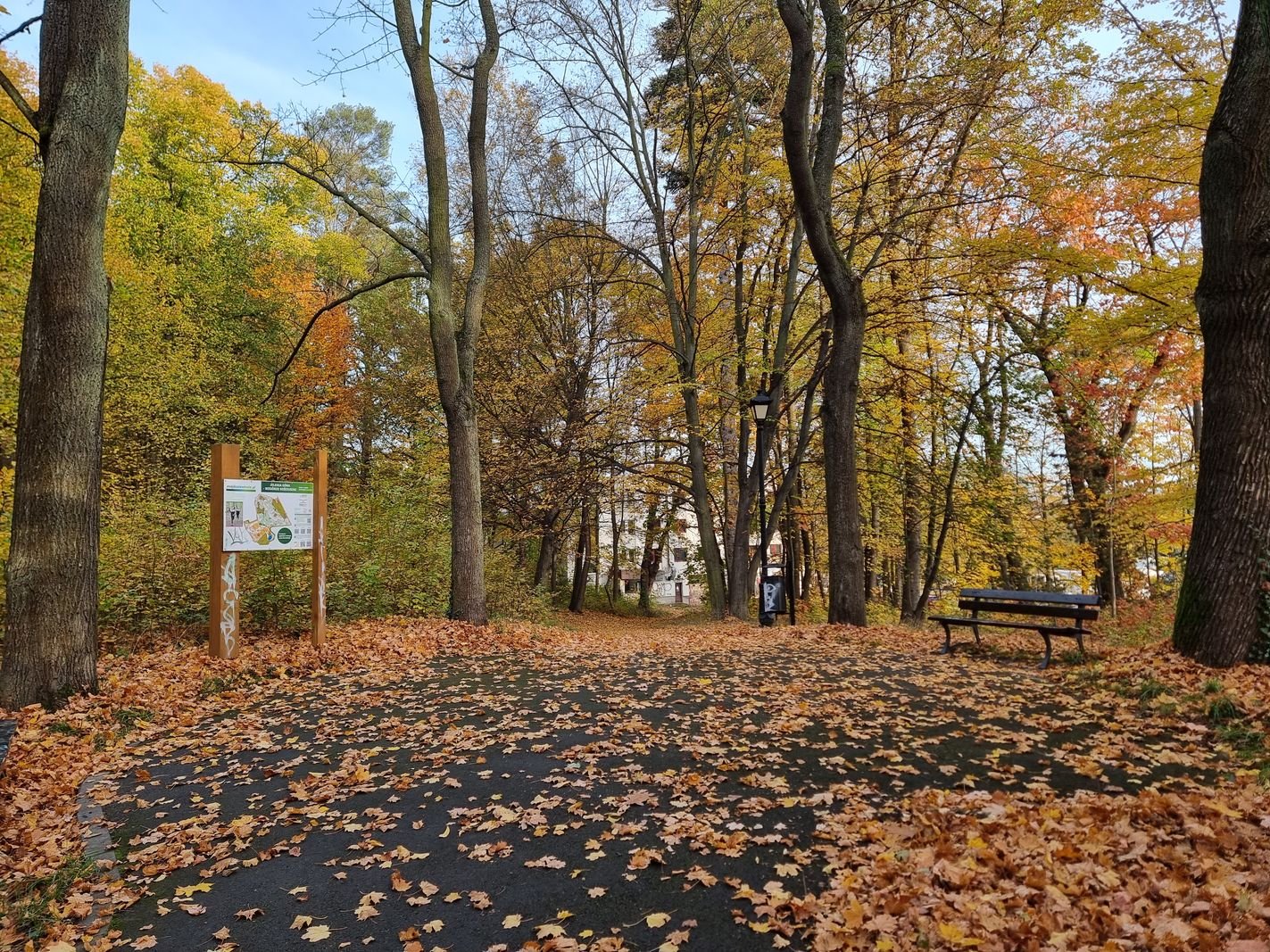 park-na-wzgorzu-kosciuszki-wypieknieje-128480