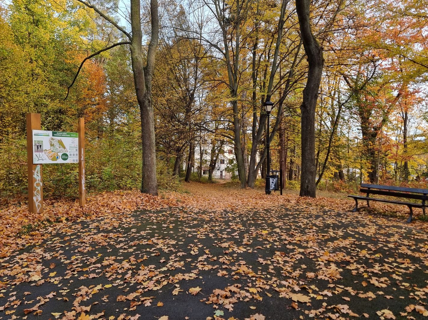 park-na-wzgorzu-kosciuszki-wypieknieje-128480
