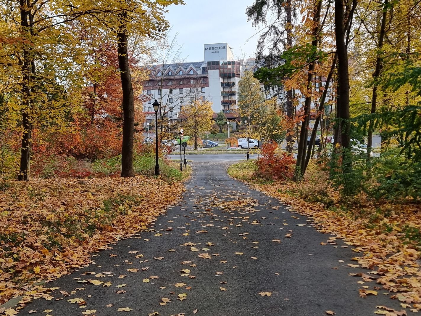 park-na-wzgorzu-kosciuszki-wypieknieje-128480