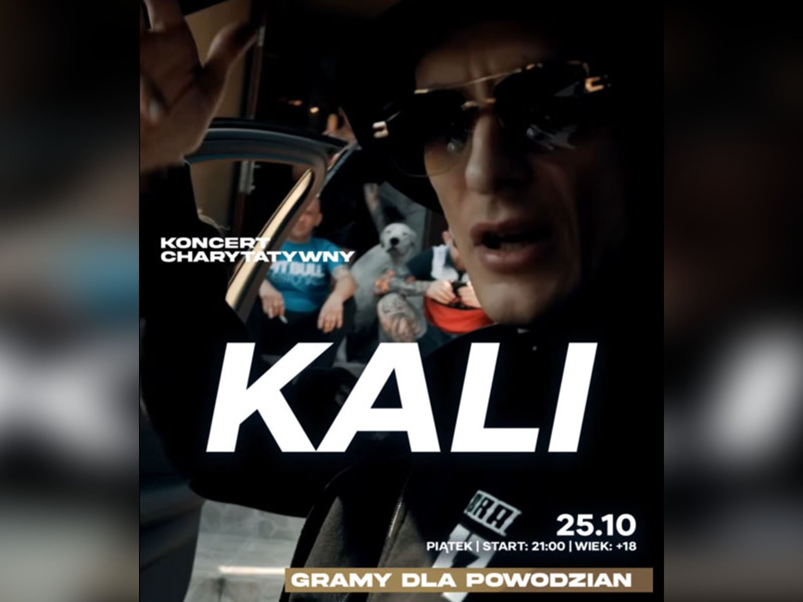 kali-w-jeleniej-gorze-128563