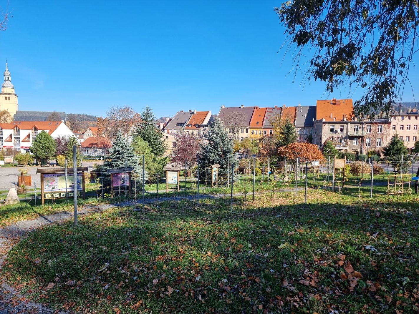 winnica-nie-boi-sie-zimna-128586