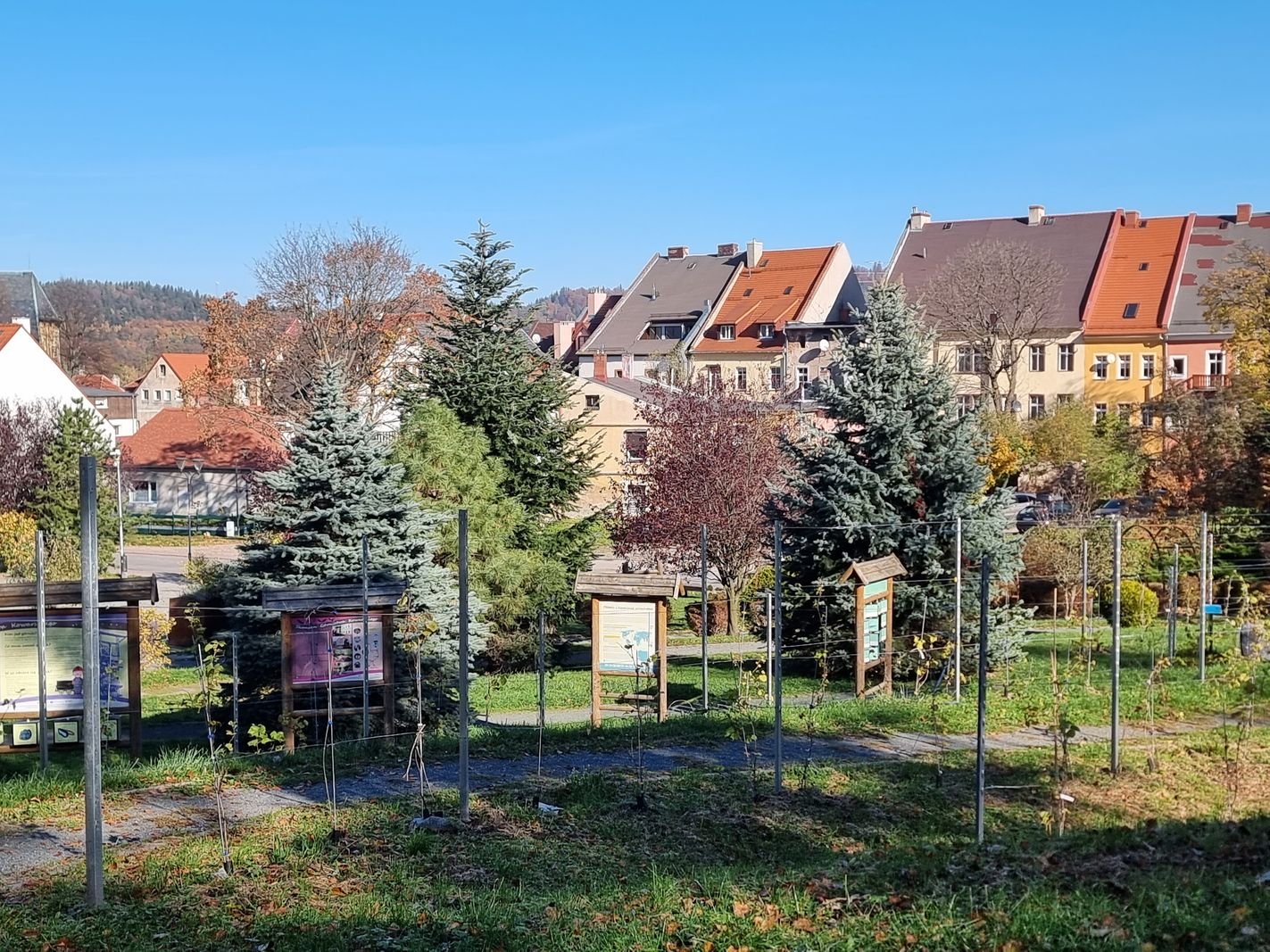 winnica-nie-boi-sie-zimna-128586