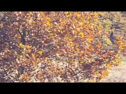 dalej-smigaja-po-sciezce-128598