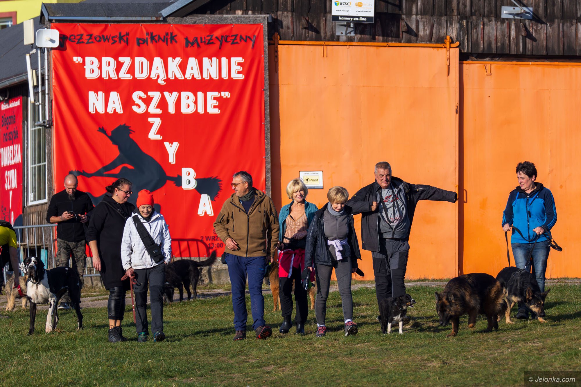 spacerniaki-chodza-codziennie-128599