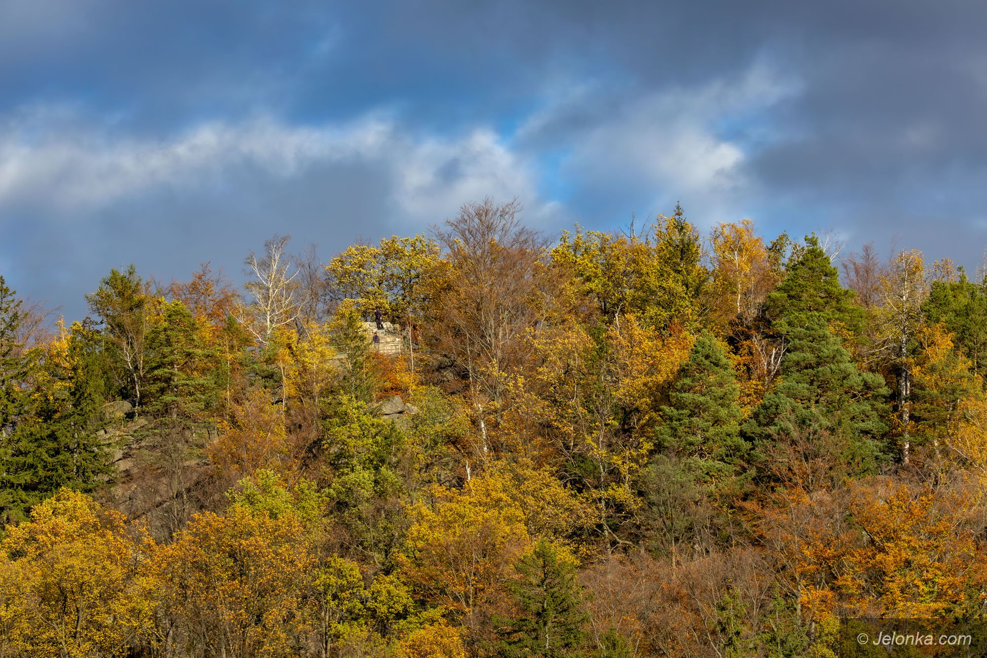 gora-witosza-w-staniszowie-128727