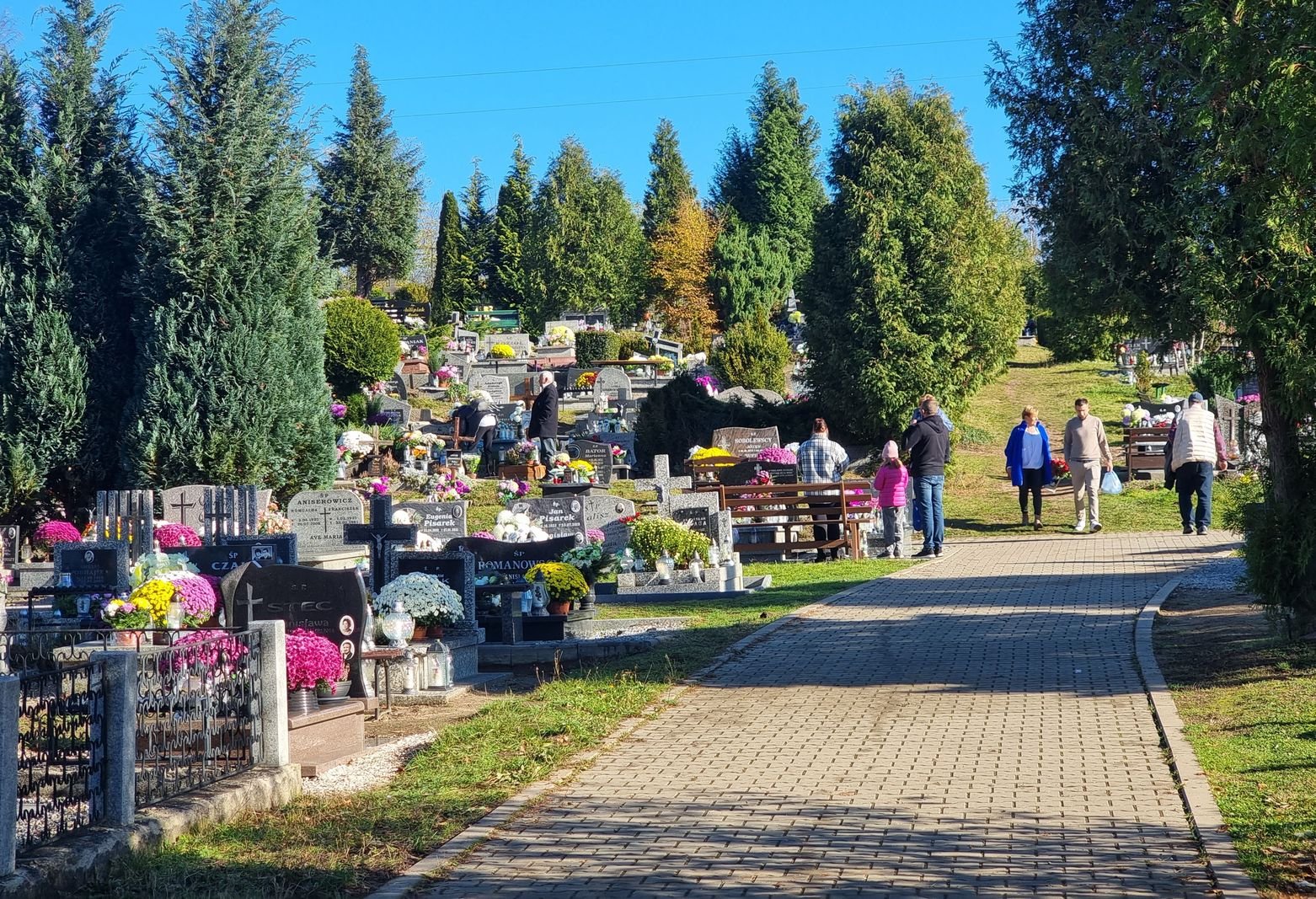 wszystkich-swietych-w-janowicach-wielkich-128731
