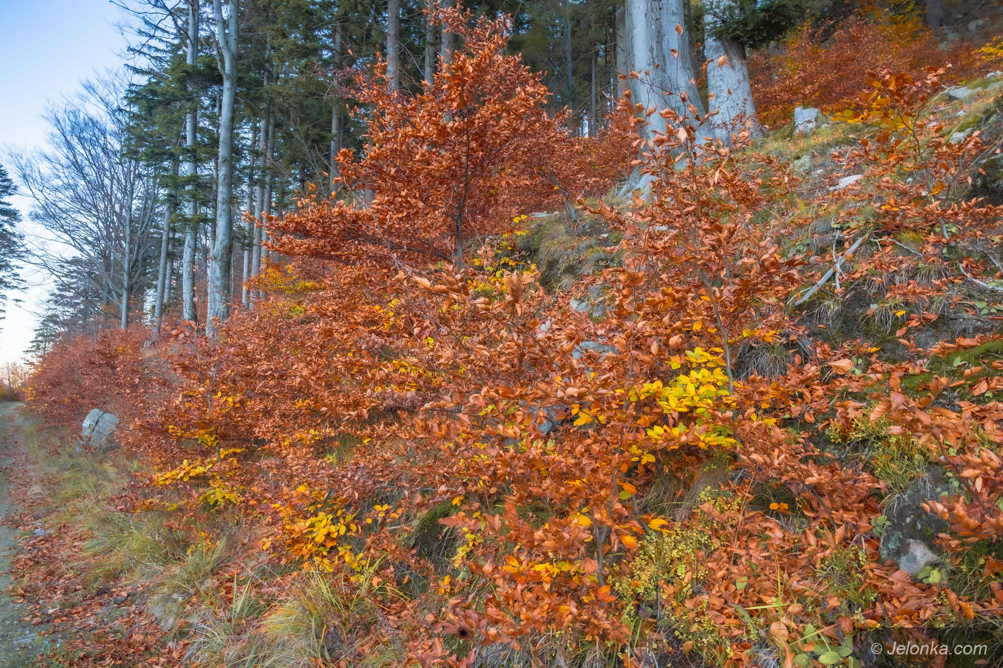 piekne-widoki-z-kaplicy-128763