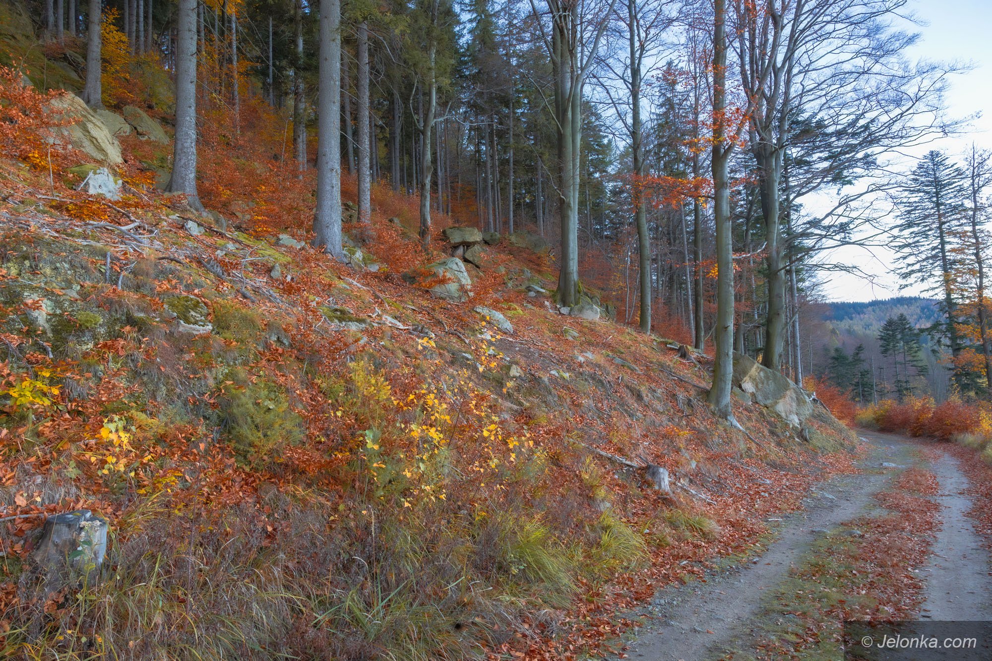 piekne-widoki-z-kaplicy-128763