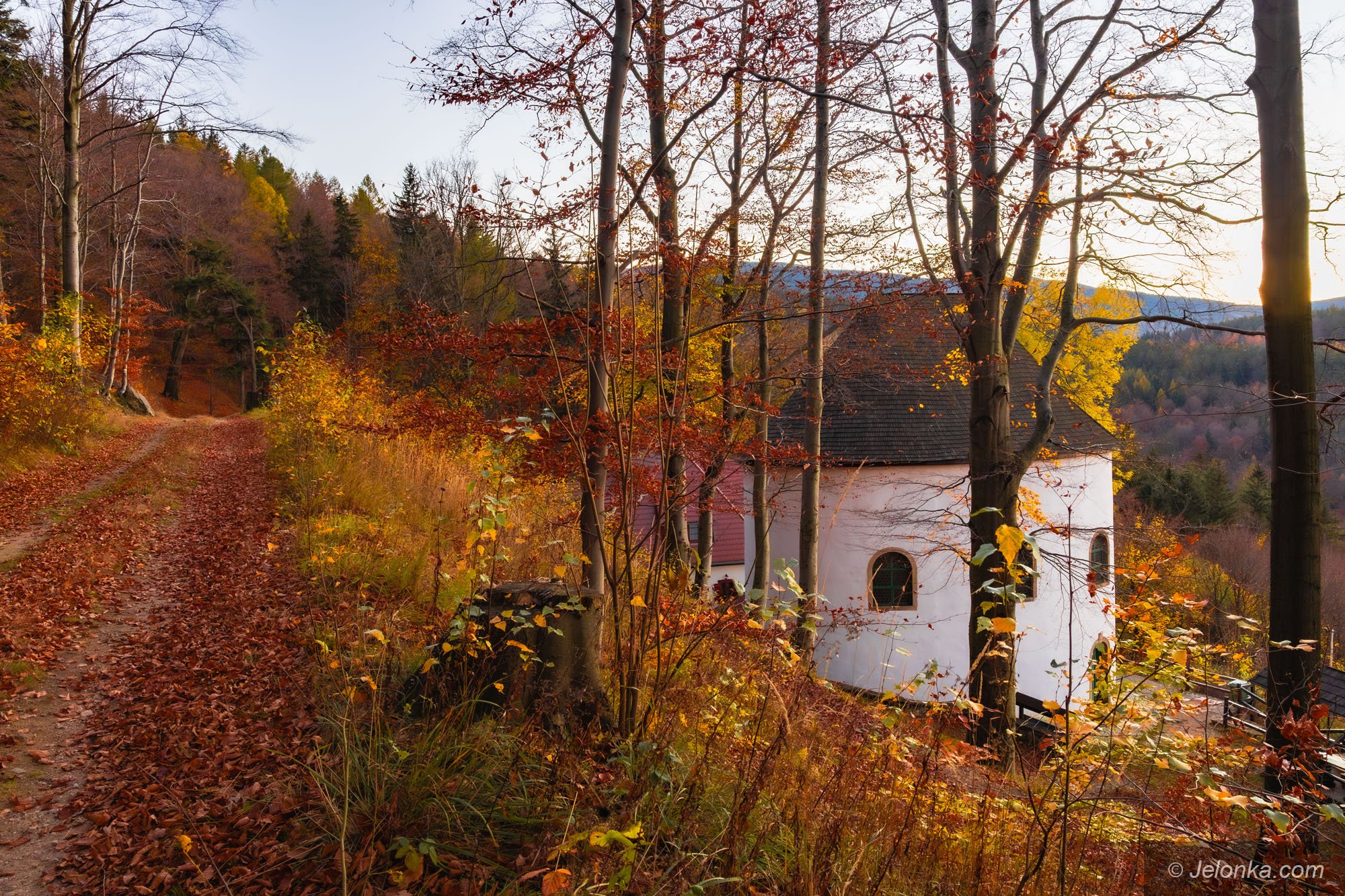 piekne-widoki-z-kaplicy-128763