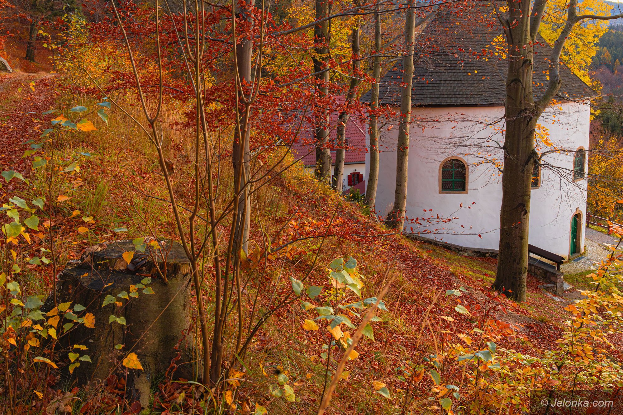 piekne-widoki-z-kaplicy-128763
