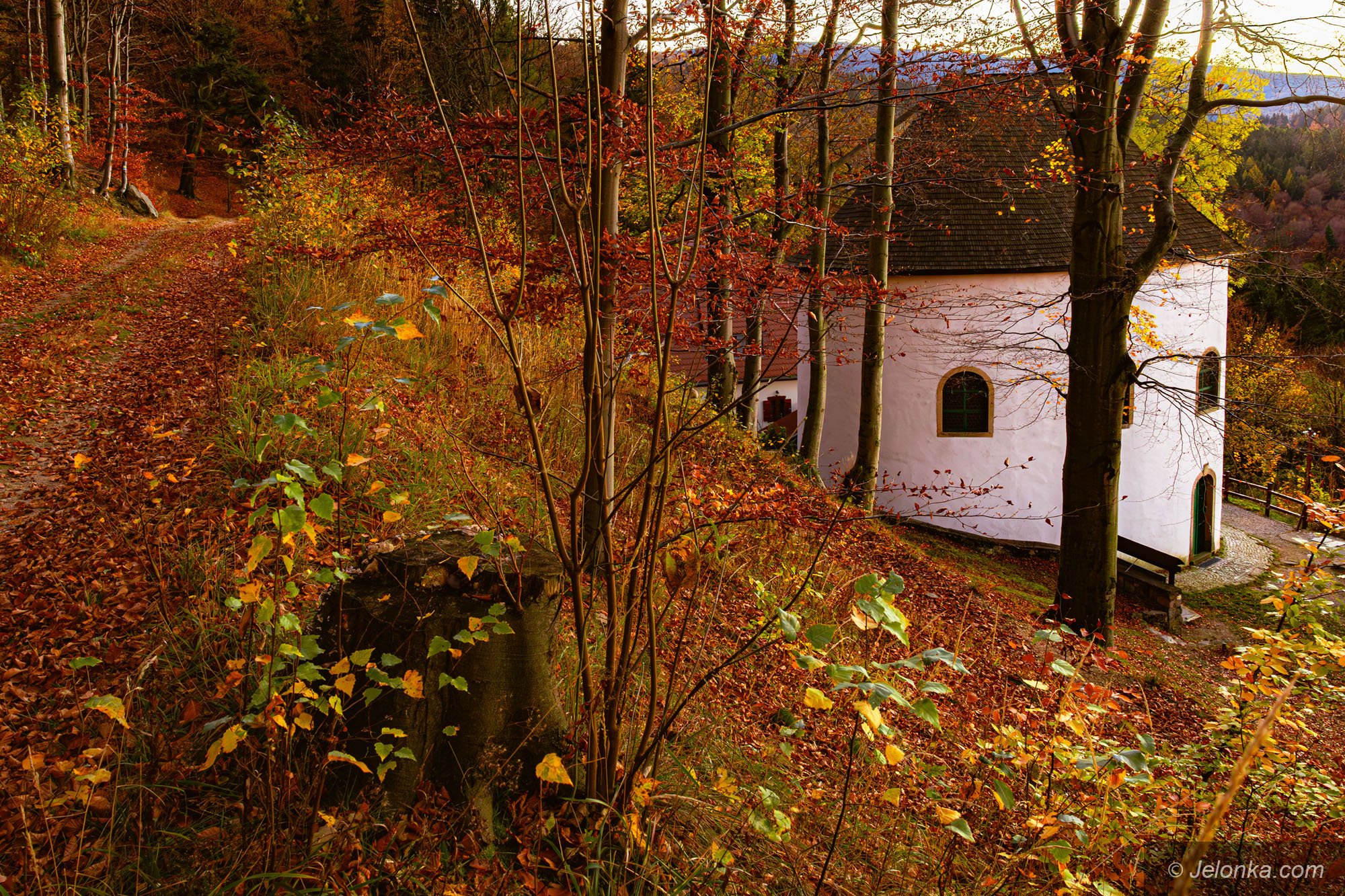 piekne-widoki-z-kaplicy-128763