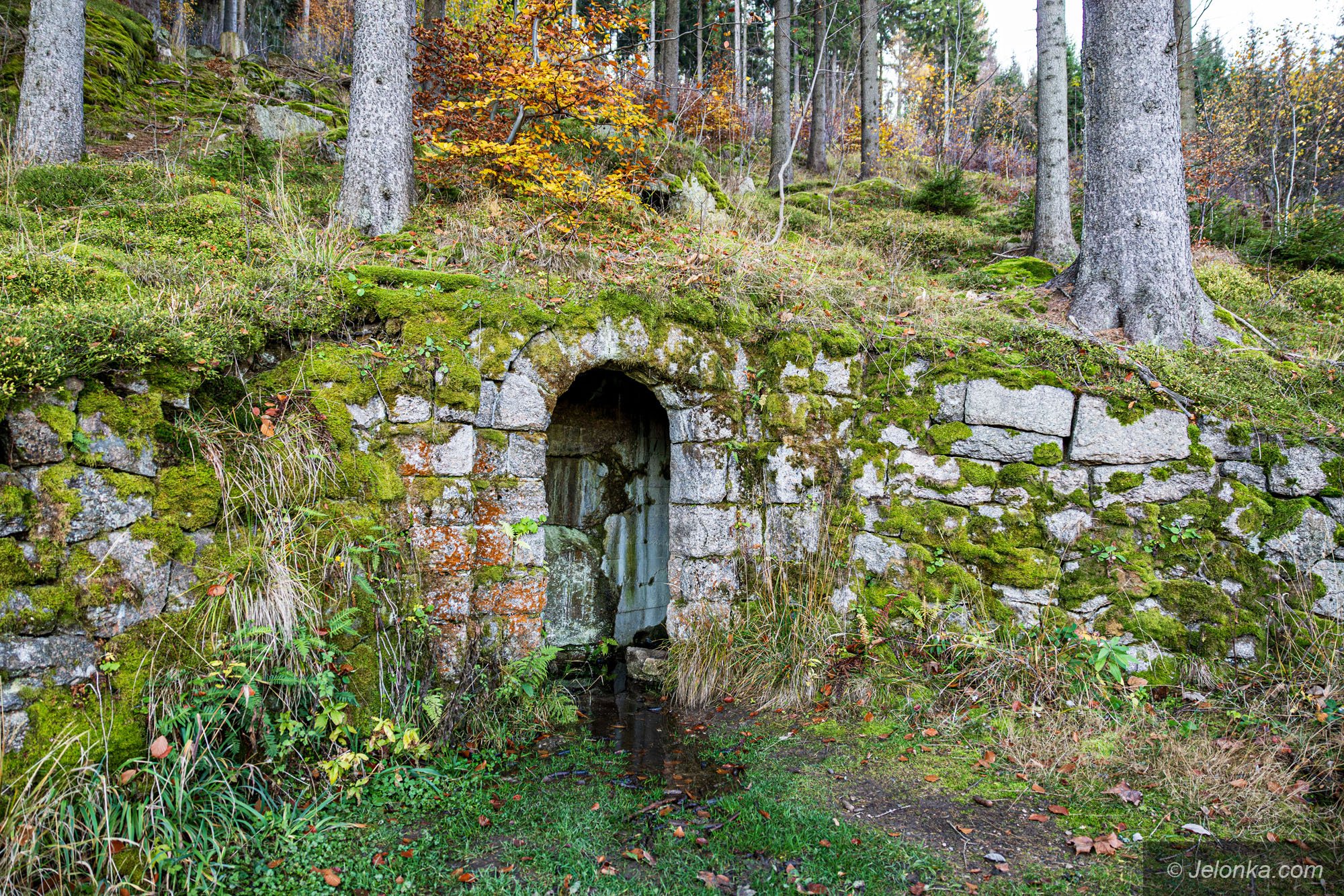 tajemnicza-sztolnia-na-grabowcu-128838