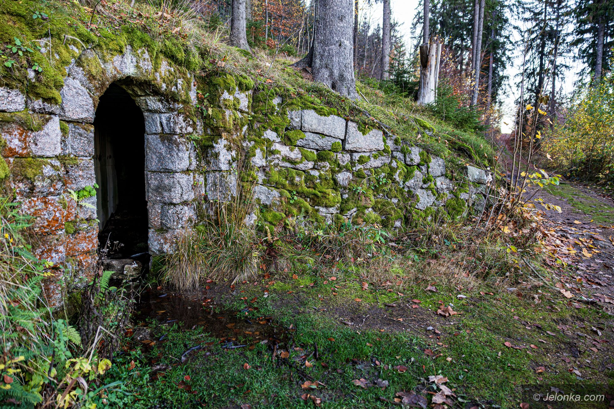 tajemnicza-sztolnia-na-grabowcu-128838