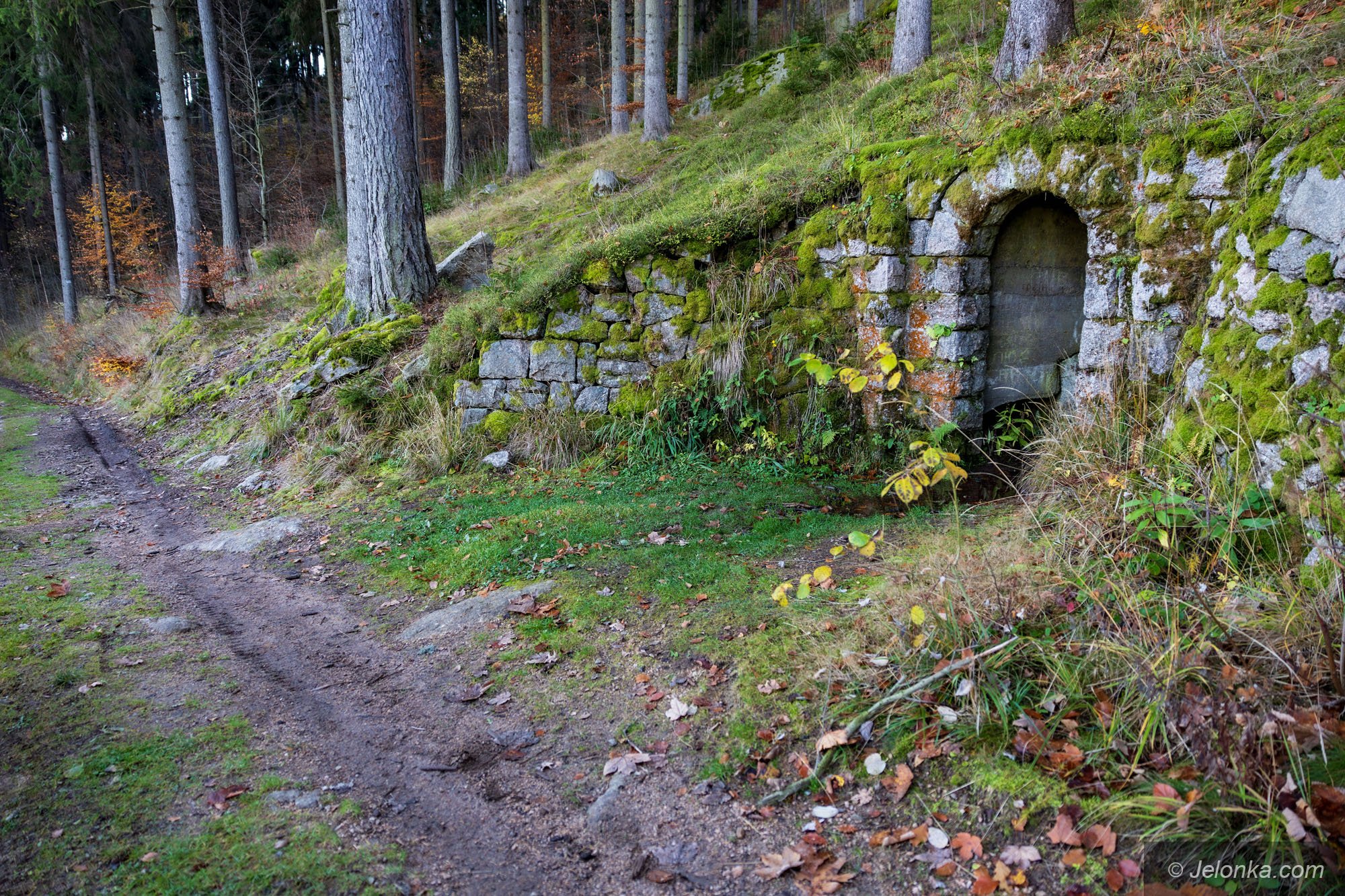 tajemnicza-sztolnia-na-grabowcu-128838