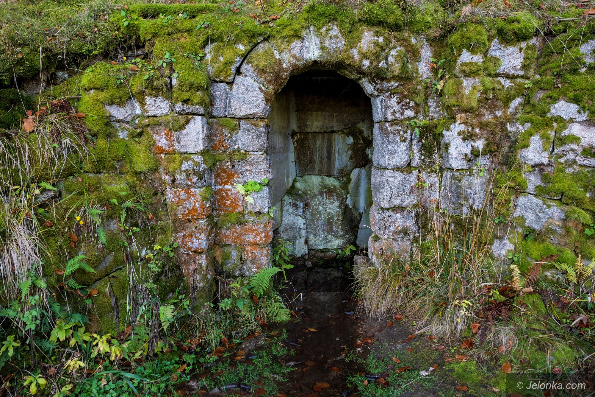 tajemnicza-sztolnia-na-grabowcu-128838