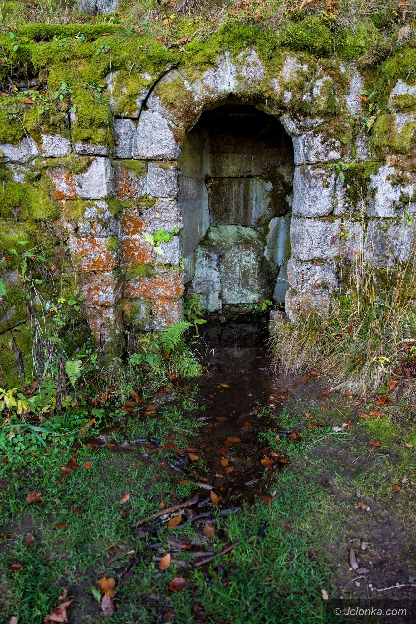 tajemnicza-sztolnia-na-grabowcu-128838