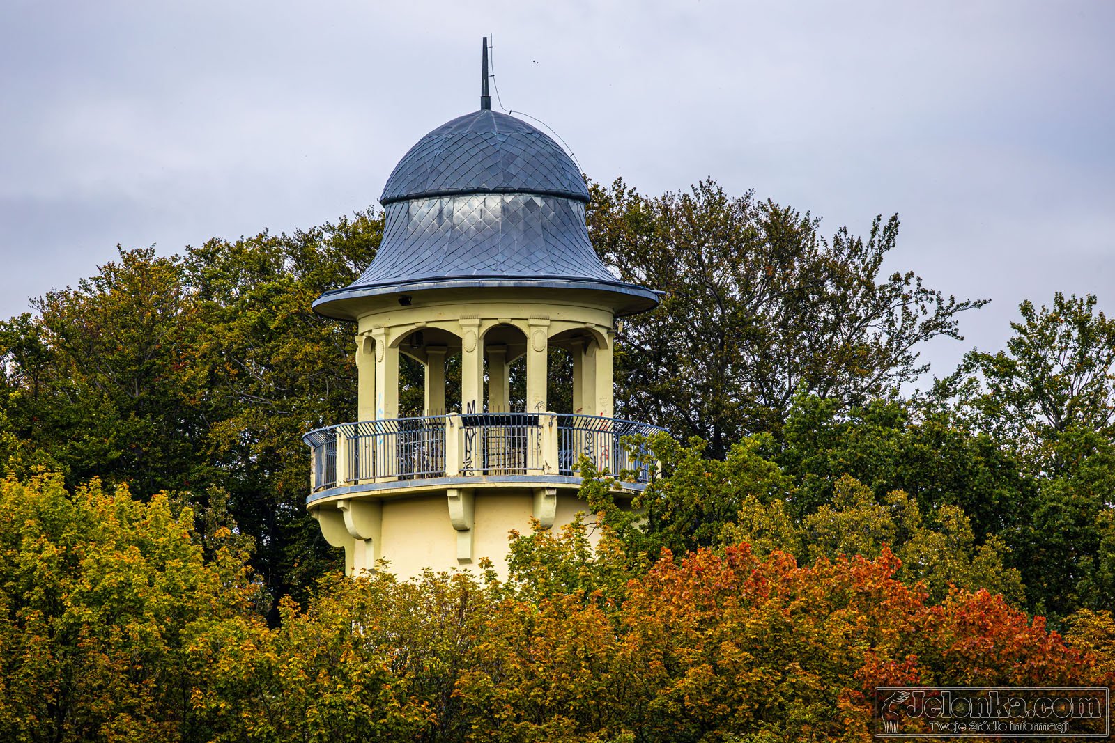 35-metrow-grzybka-w-jeleniej-gorze-128918