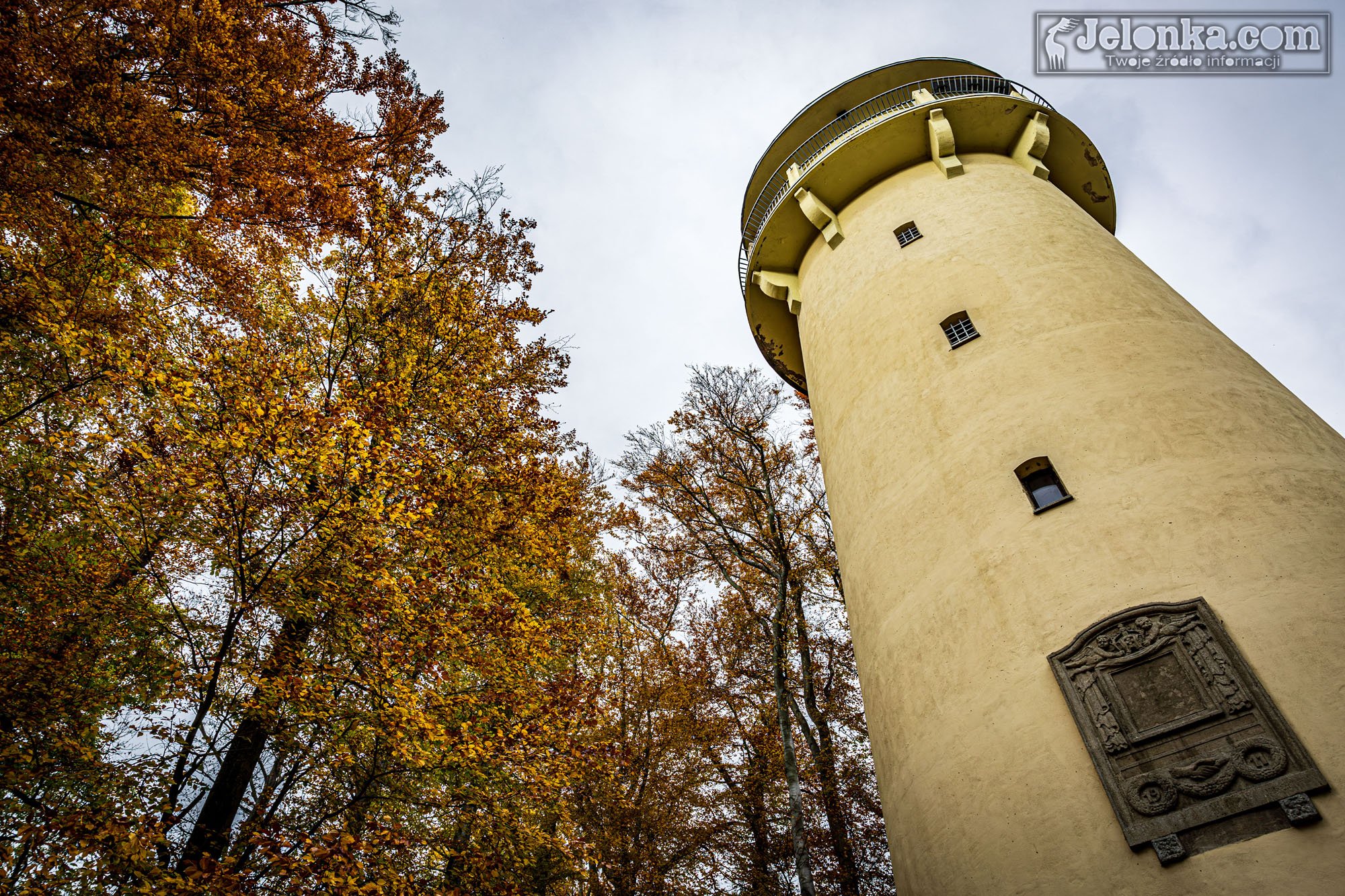 35-metrow-grzybka-w-jeleniej-gorze-128918