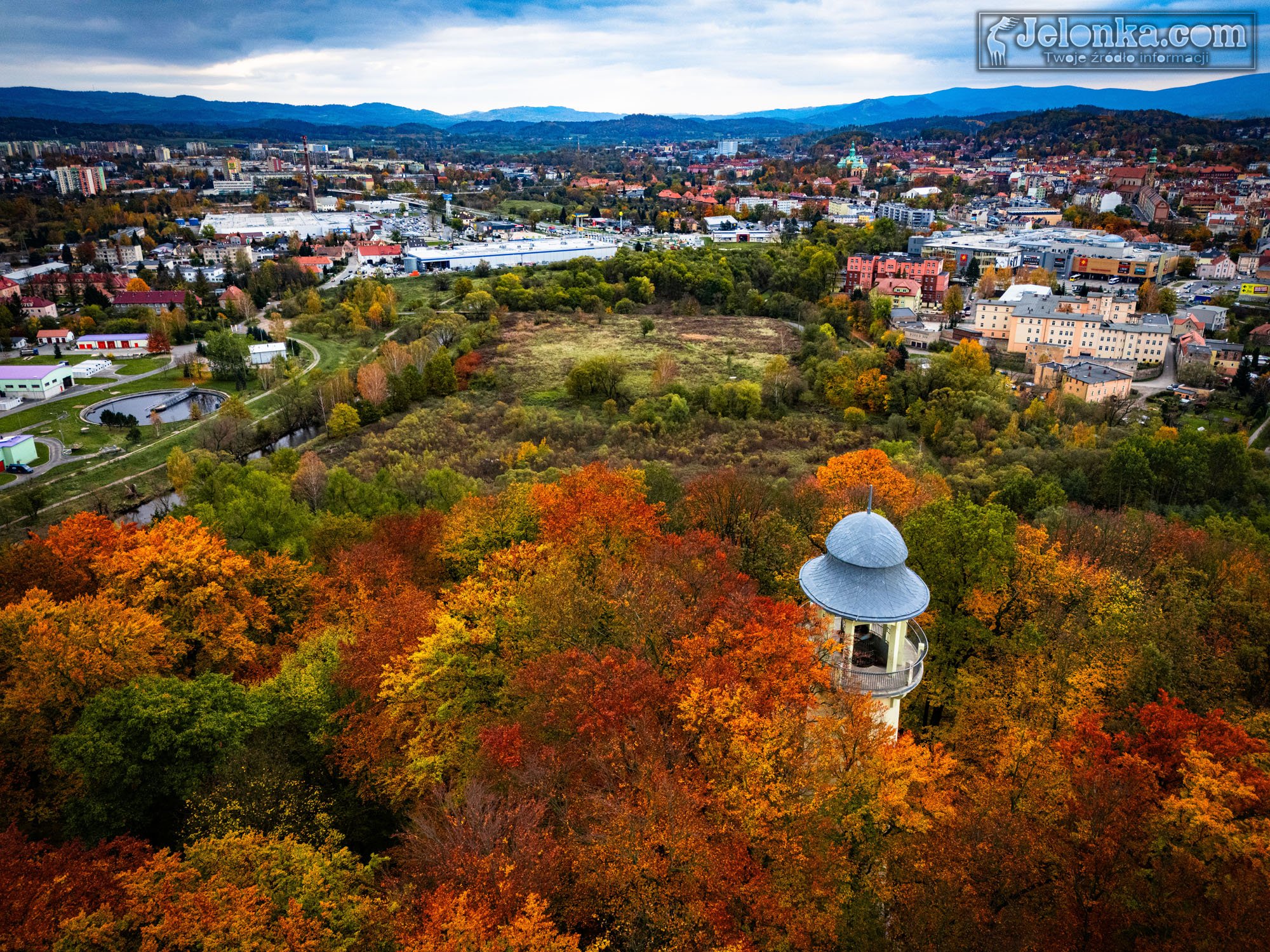 35-metrow-grzybka-w-jeleniej-gorze-128918