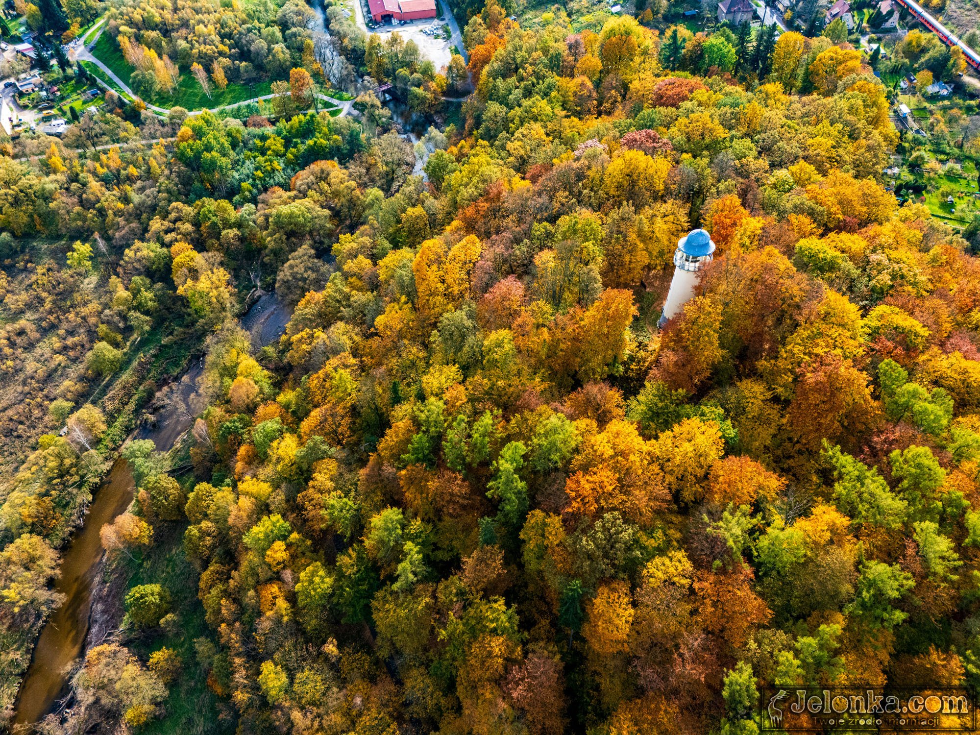 35-metrow-grzybka-w-jeleniej-gorze-128918