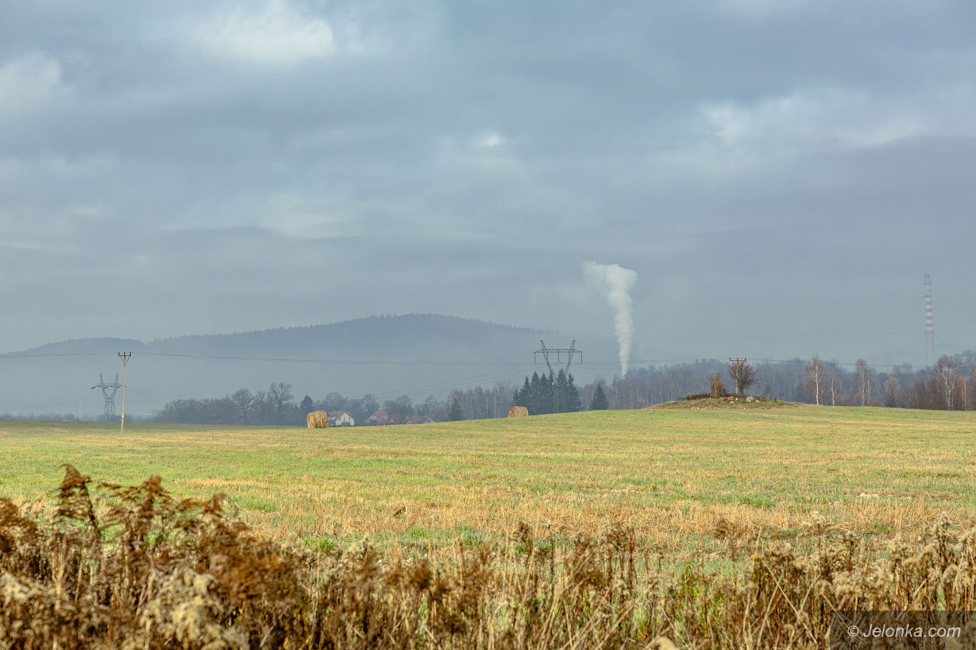rano-juz-przymrozki-128934