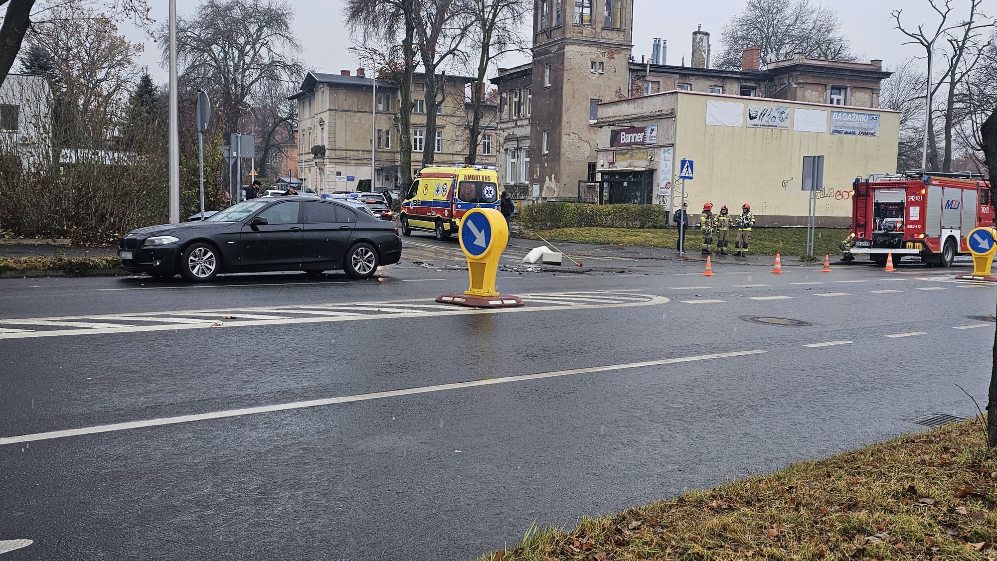 bmw-z-kia-na-wolnosci-128984