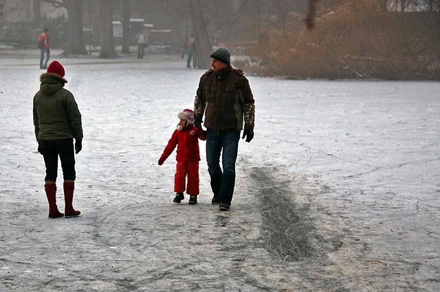tesknia-za-lodowiskiem-12911