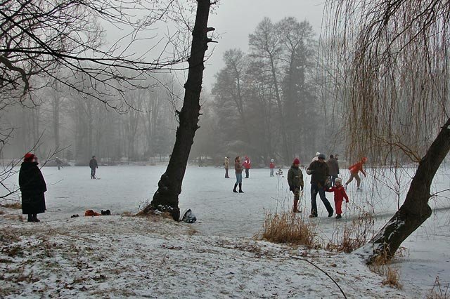 tesknia-za-lodowiskiem-12911